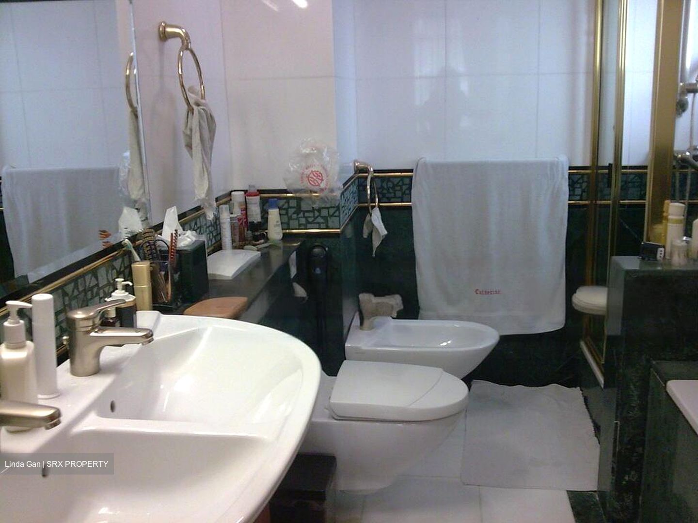 The Legend (D10), Condominium #515661821
